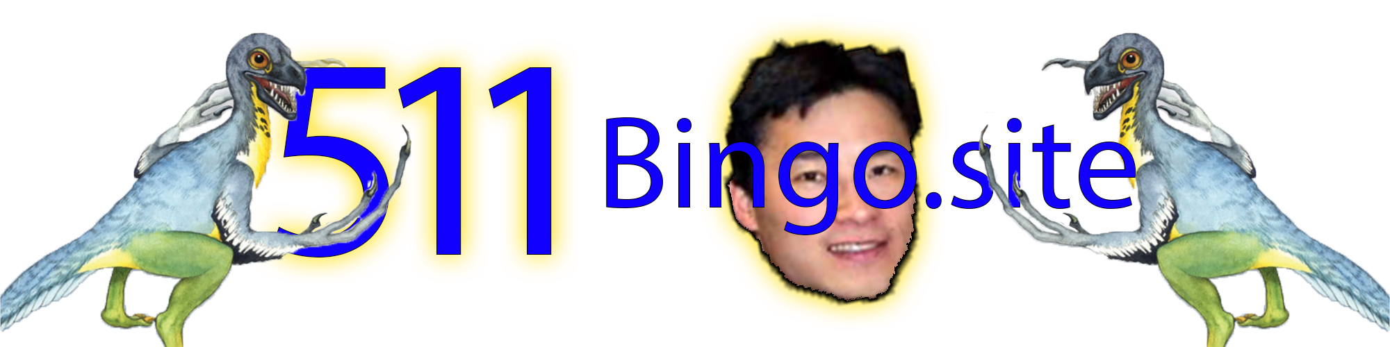 511 Bingo.site logo